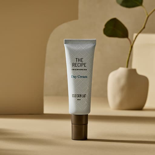 The Recipe Day Cream